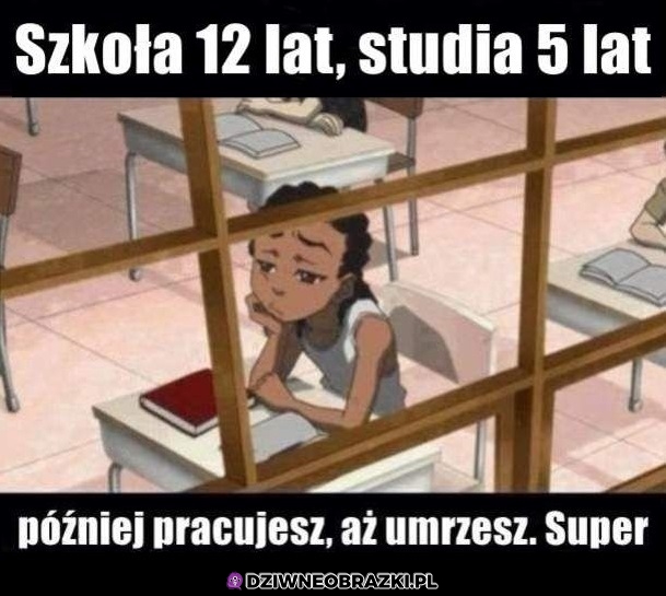 No ekstra