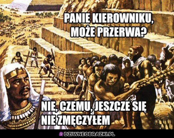 Przerwa? Jaka przerwa?