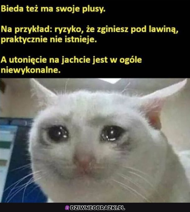 Plusy biedy