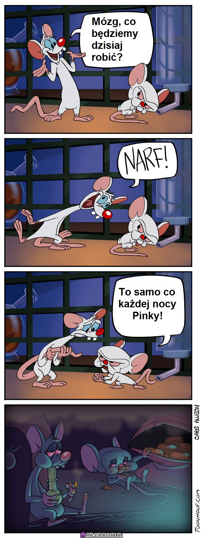 Pinky i Mózg