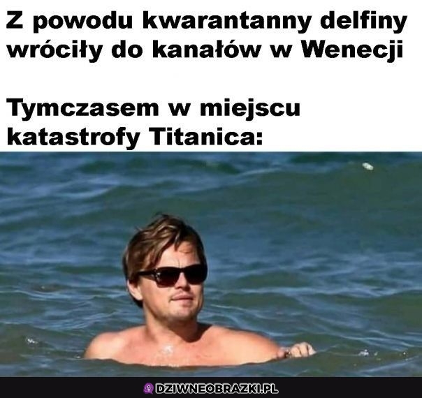 Wielkie powroty