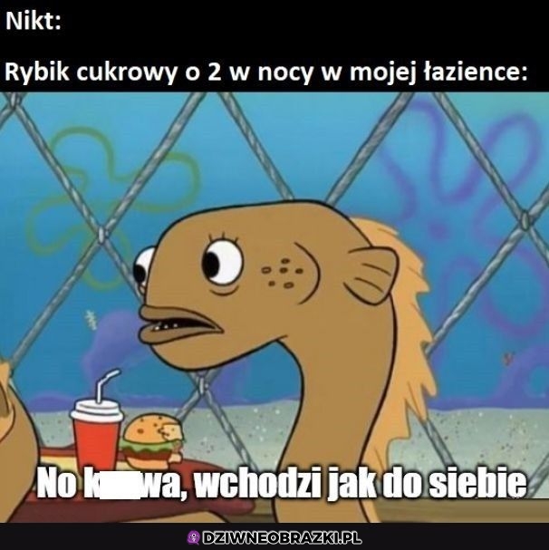 Ten moment