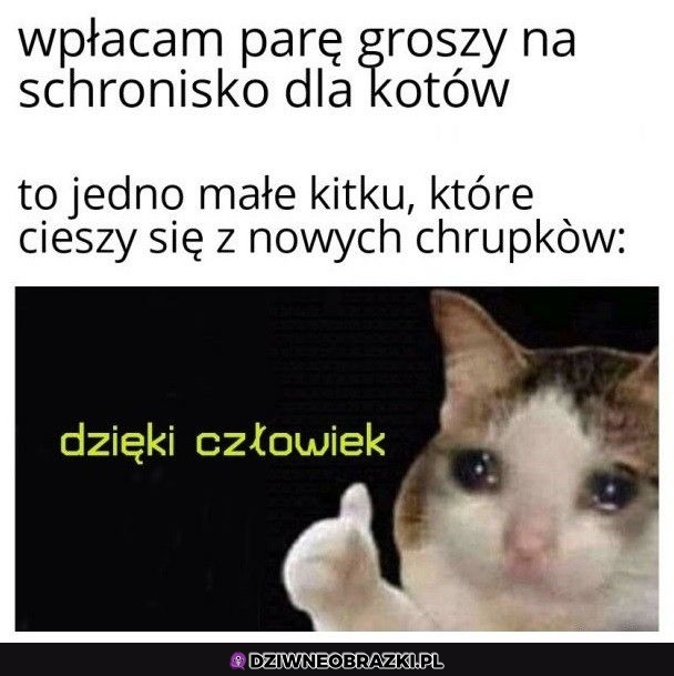 Wpłacajcie