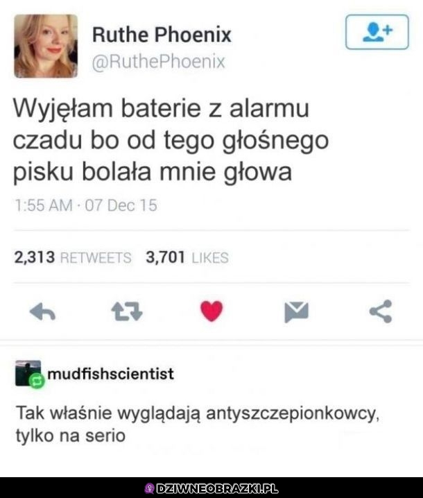 Bez kitu