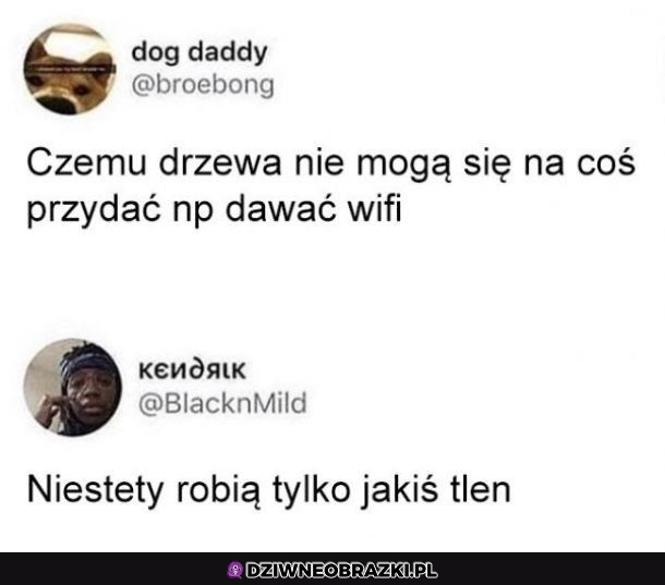 Bez sensu zupełnie