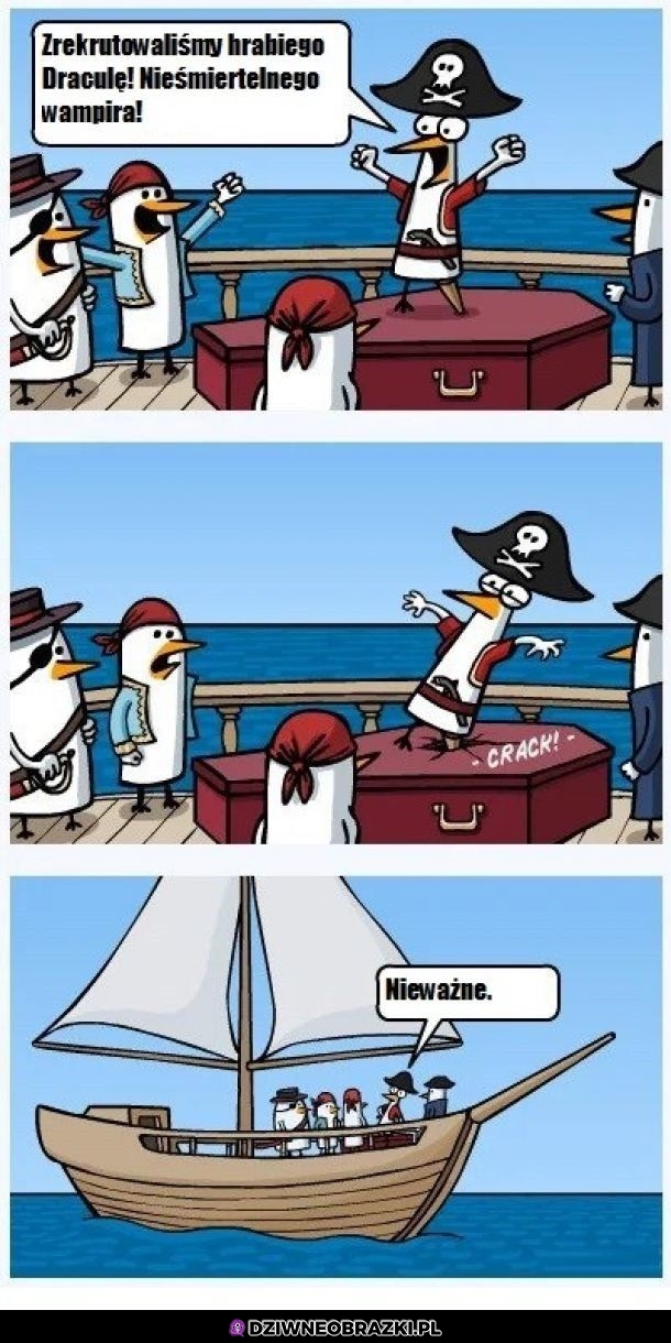 Nowy rekrut