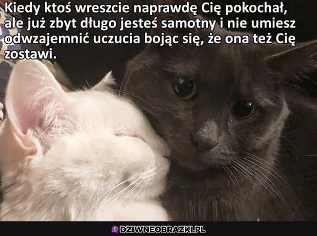 Ten moment