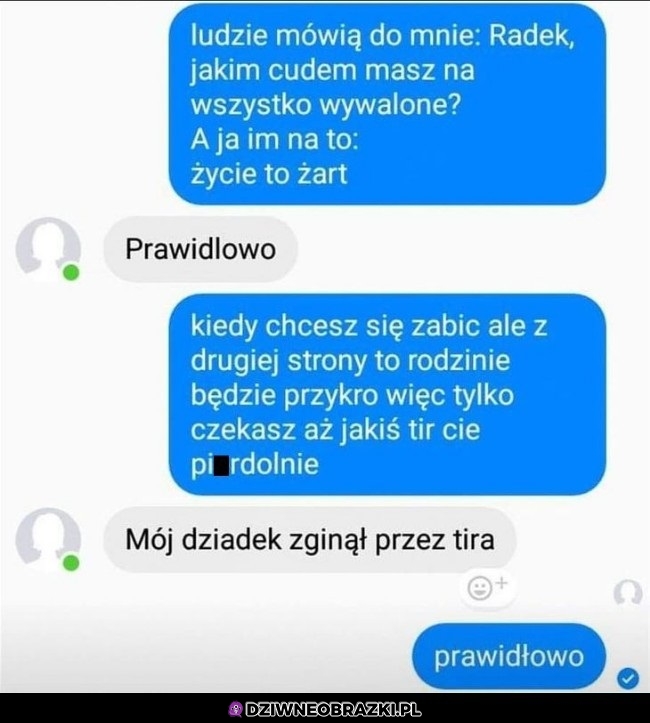 Chłodna filozofia życia według Radka