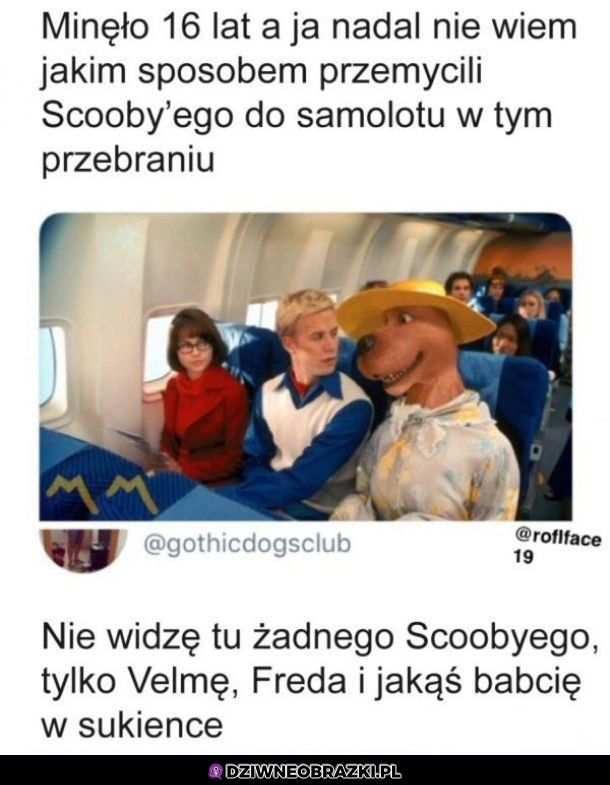 Nie widzę nic niezwykłego Nie widzę nic niezwykłego