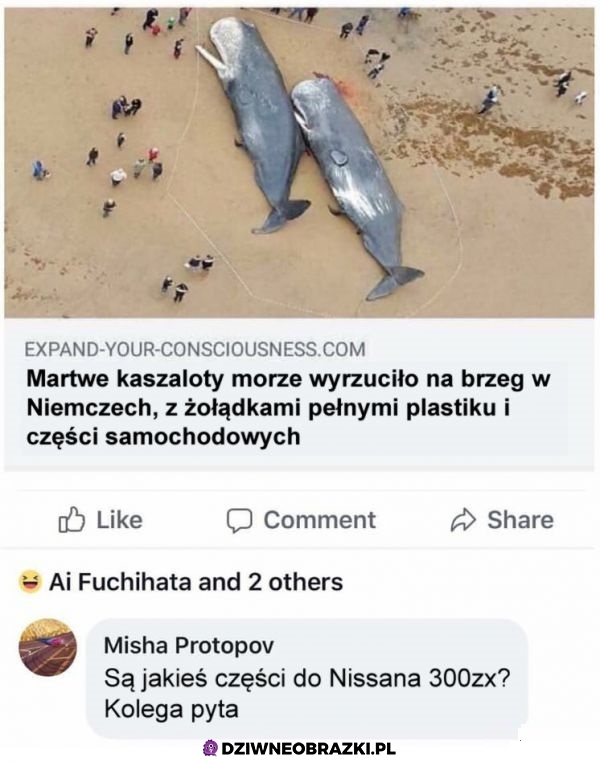 Ważne pytanie
