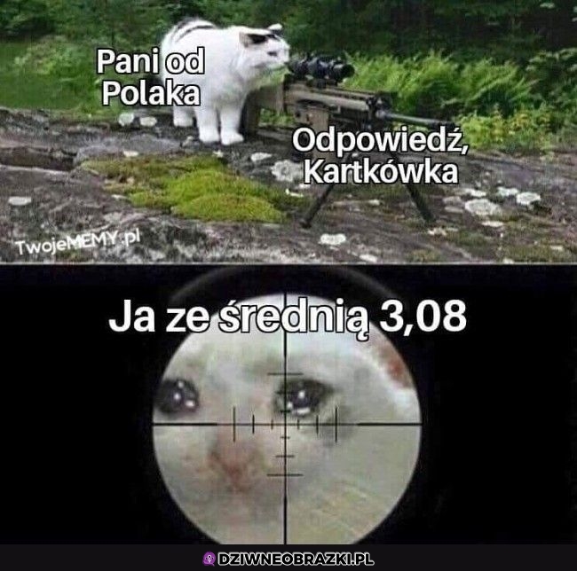I cyk kartkóweczka