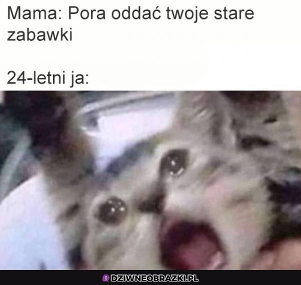 Nieee