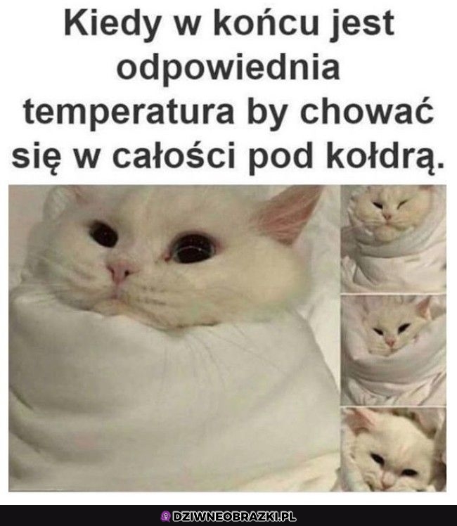 To już teraz