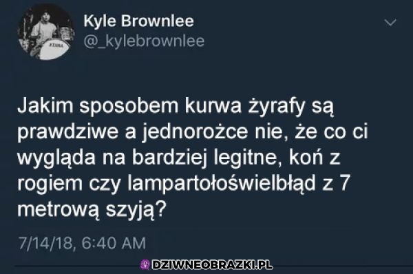 Jaka rozkmina!