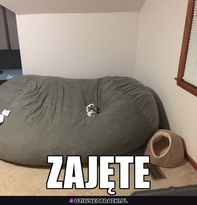 Znajdź sobie inne miejsce