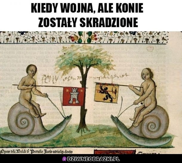 Dziwna wojna