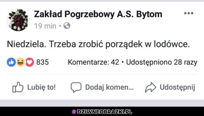 Niezawodni