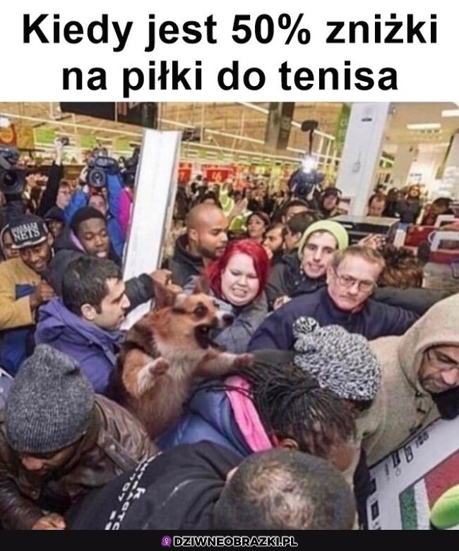 Dawać mi je!