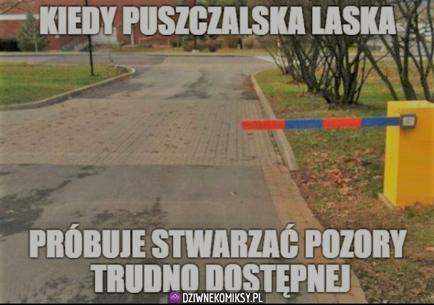 Tak to wygląda