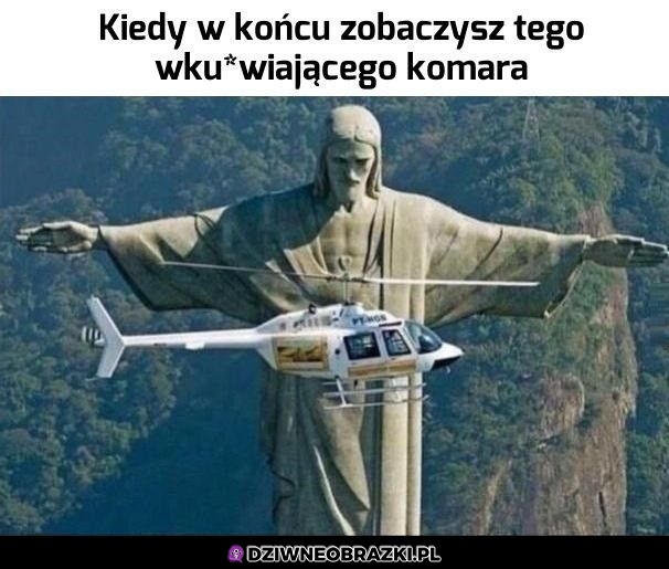 Kiedy wreszcie go namierzysz