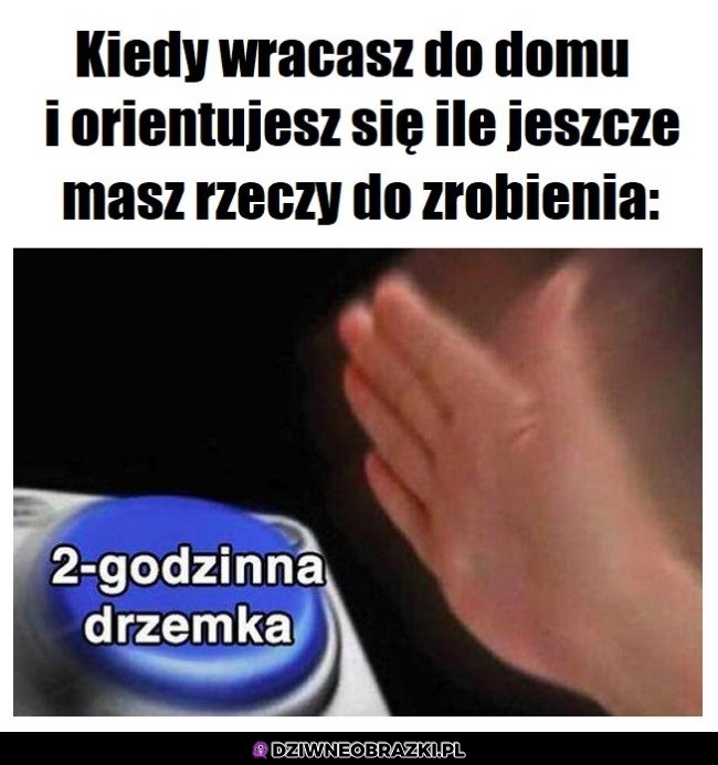 Wybór doskonały