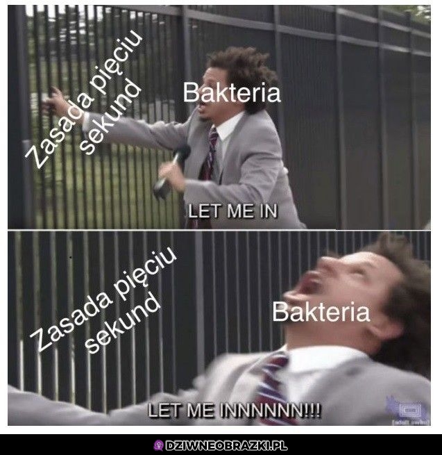 Zasada pięciu sekund