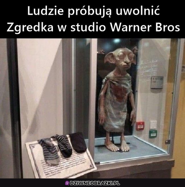 Szanuję