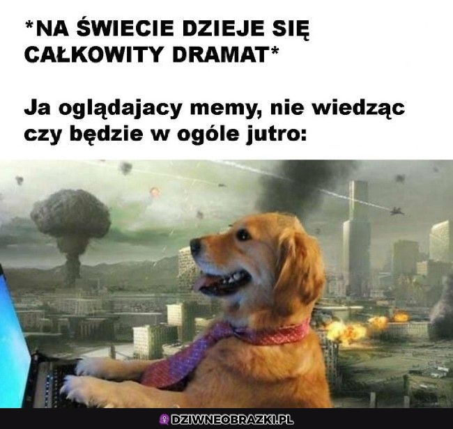 Tak właśnie wyglądam