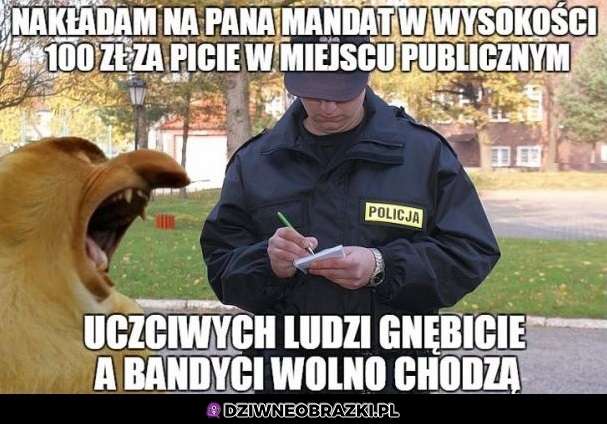 Piwko w parku