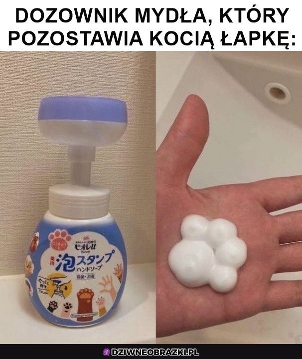 Świetny dozownik