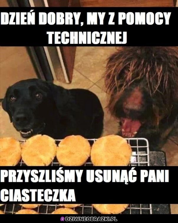 Usuwamy ciasteczka