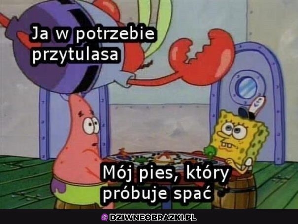 Kiedy mam potrzebe przytulasa