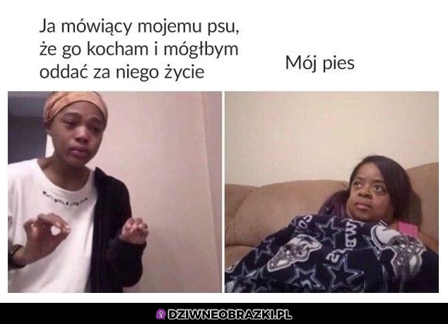 To ja
