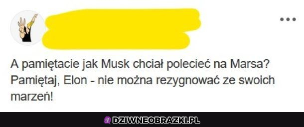 Leć Elon, leć!
