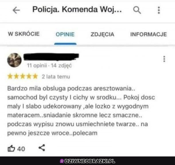 Ktoś napisał im opinie