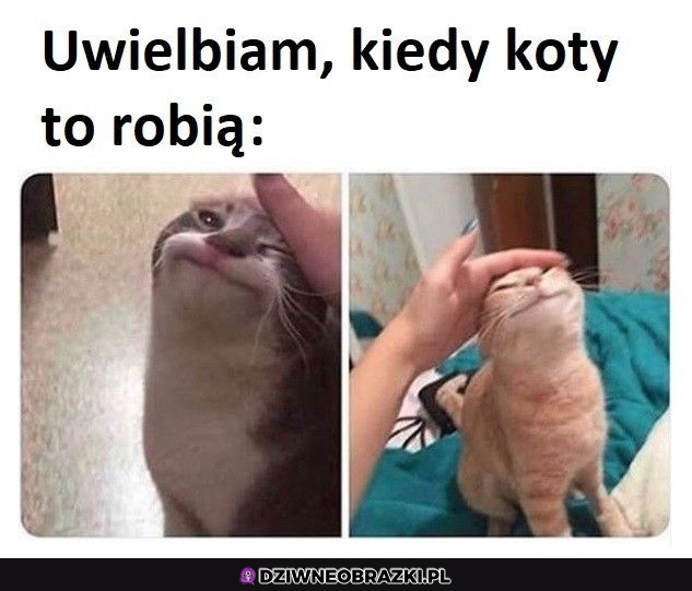 Najlepszy moment