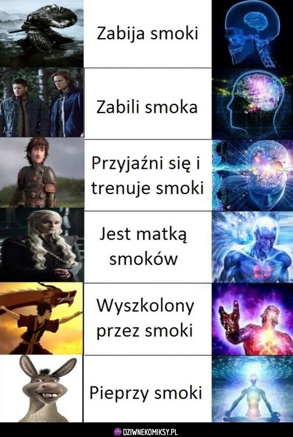 Poziomy mądrości - smoki