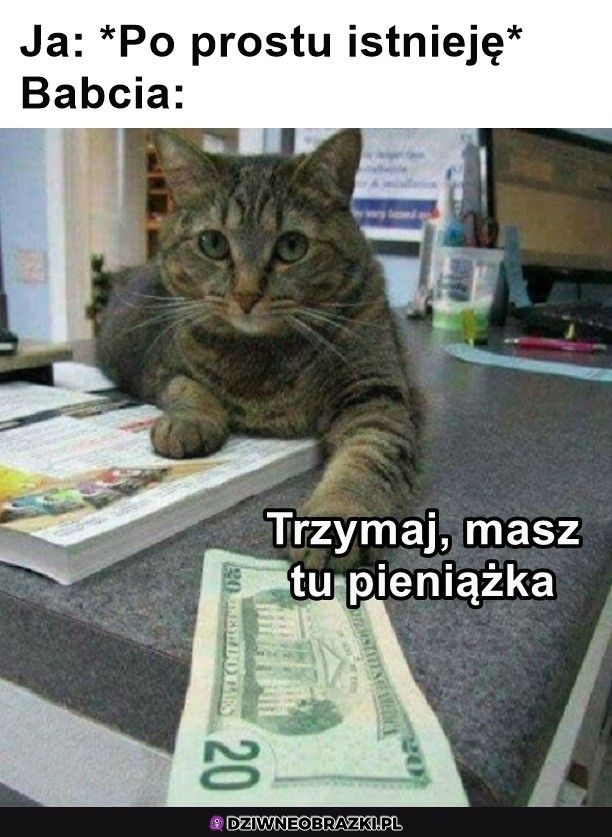 Babcie są najlepsze