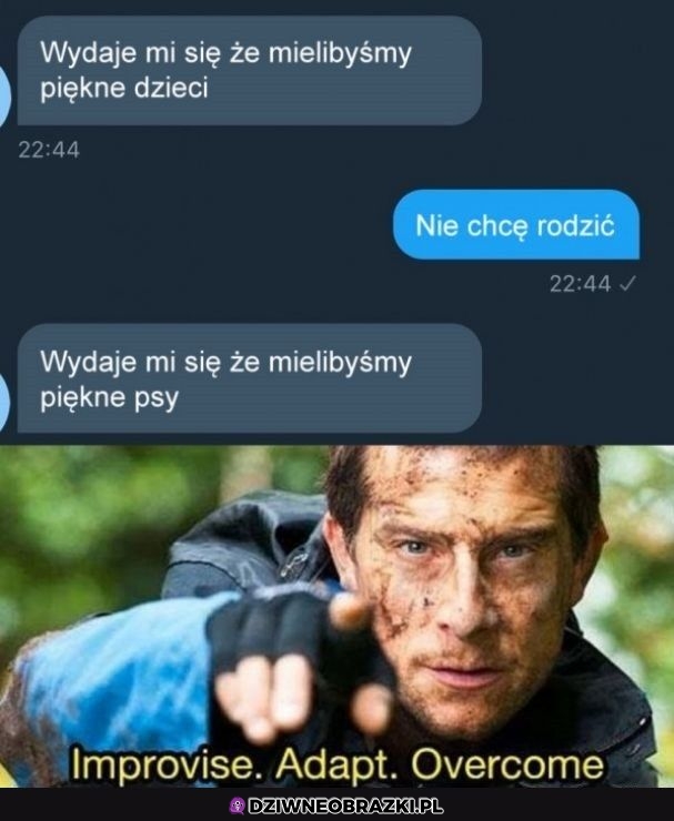 Też fajnie