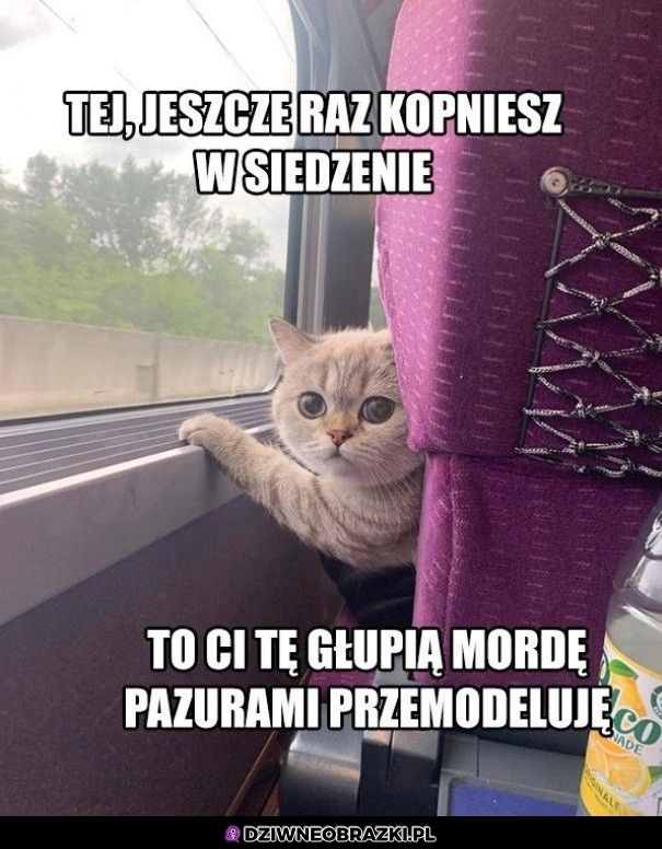 Weź nie kop