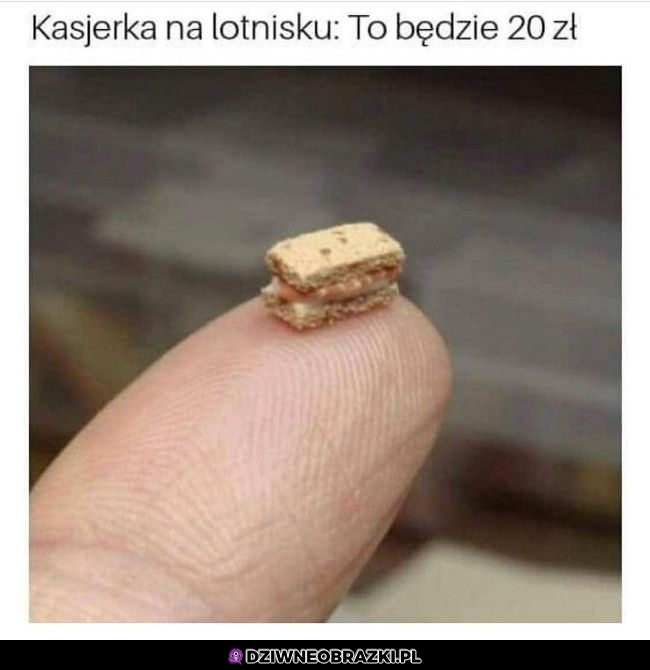 Na lotnisku