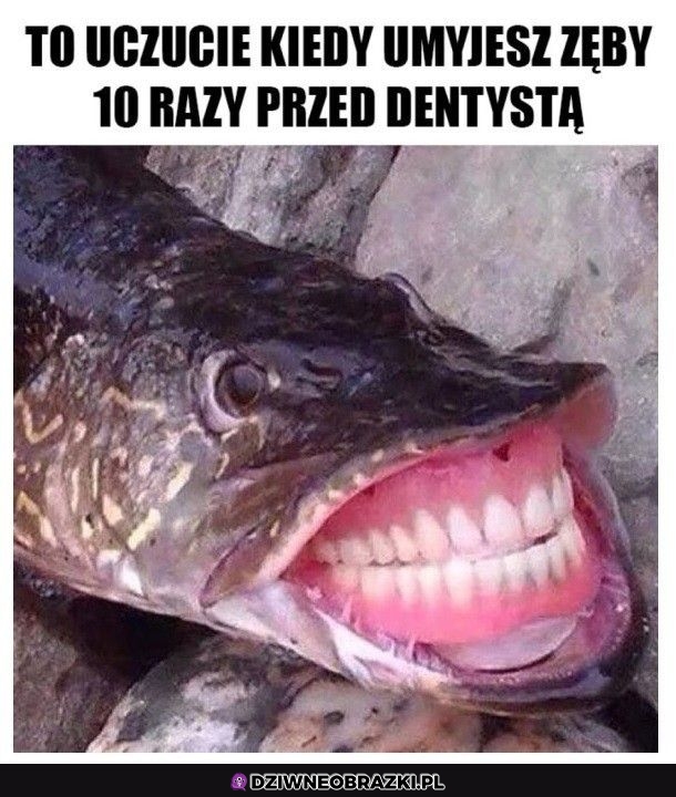 Kiedy myjesz zęby przed dentystą