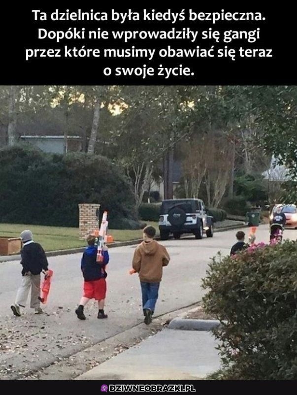Niebezpieczna dzielnica