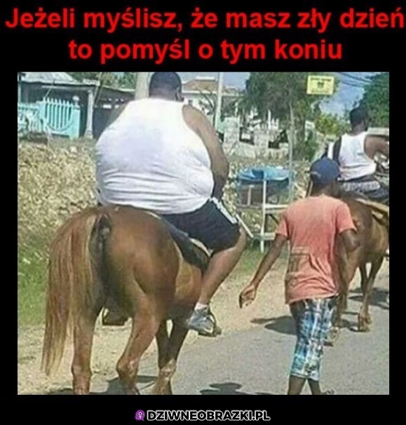 Wytrzymały jest