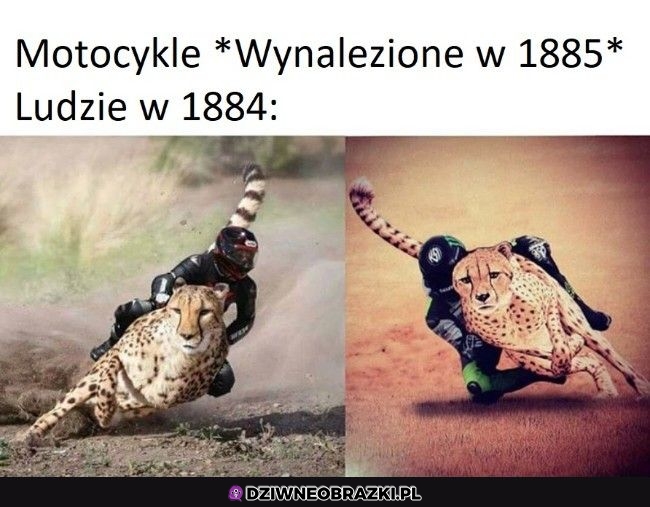 Tak było