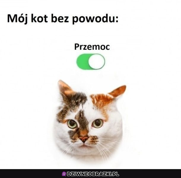 Pewnie po dotykaniu brzuszka...