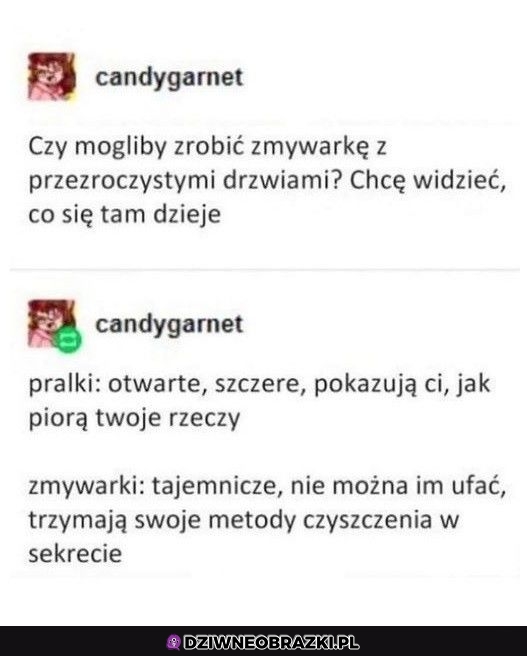 Pomysł na zmywarkę