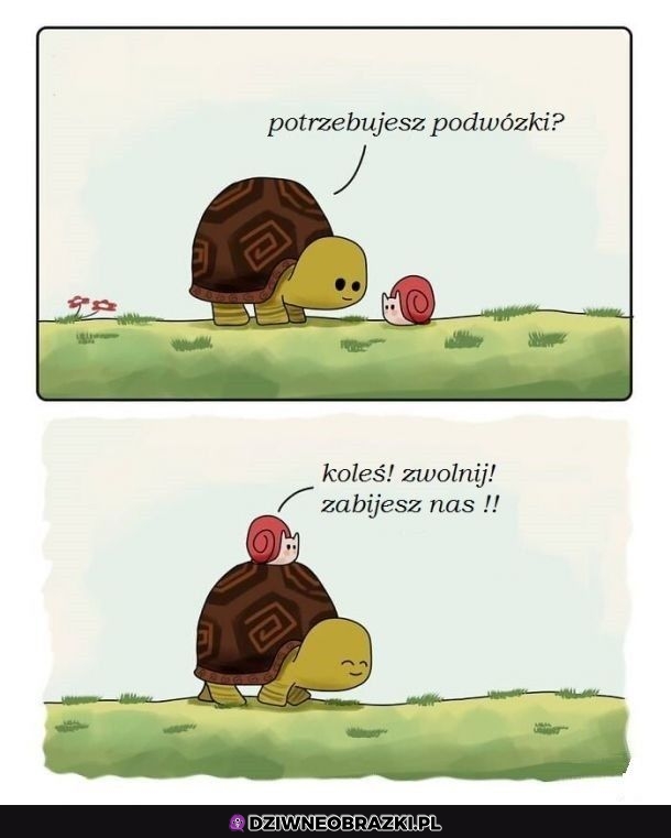 Podwózka