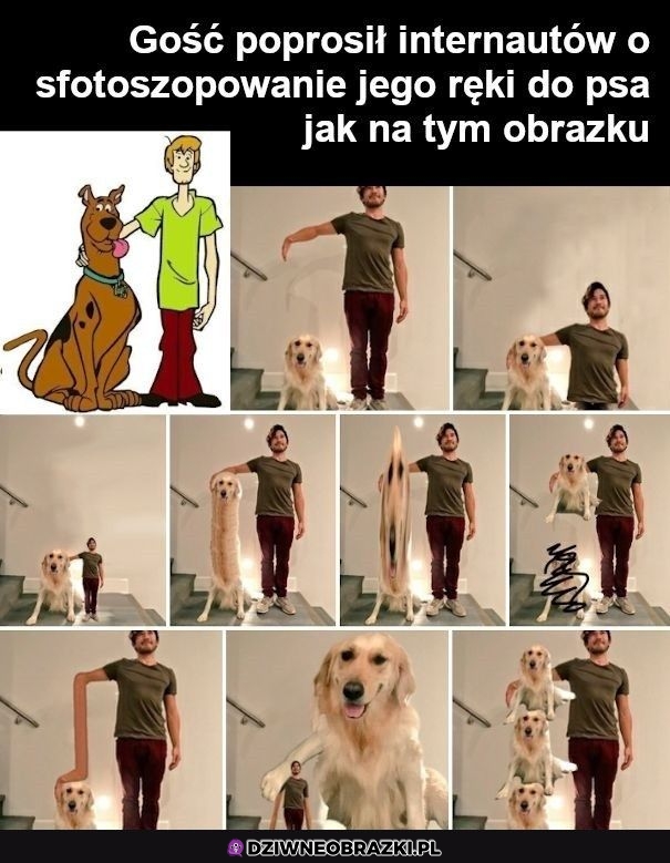 Zrobili to