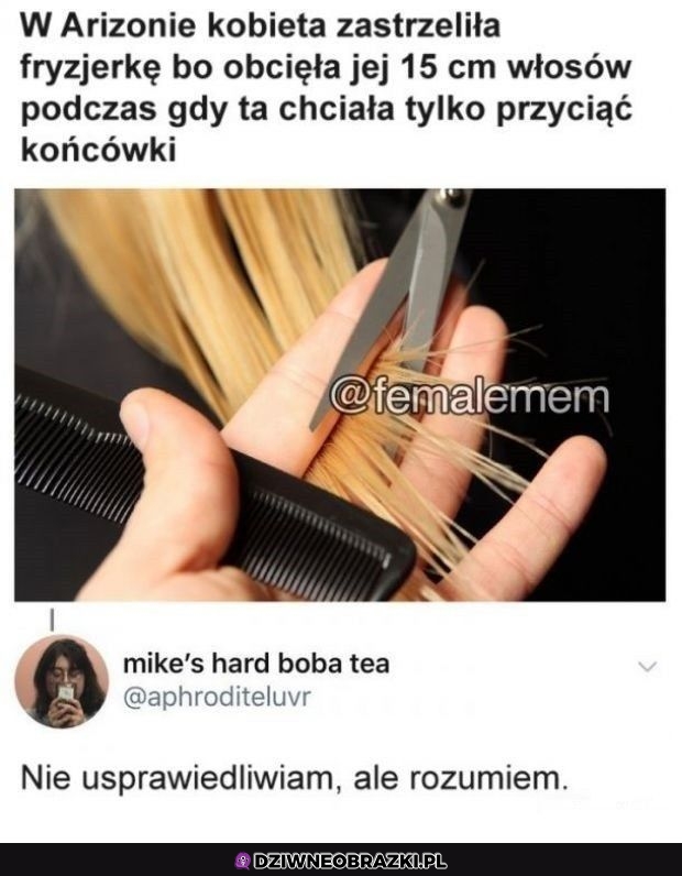 Zemsta